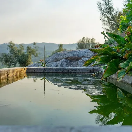 Quinta Das Netas -6pax-piscina-cabeceiras De Basto Cabeceiras de Basto