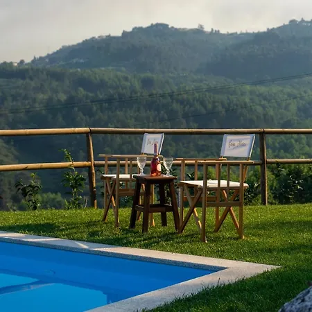 Quinta Das Netas -6pax-piscina-cabeceiras De Basto *